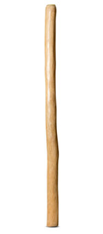 Medium Size Natural Finish Didgeridoo (TW1249)